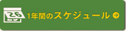 1年間のスケジュール