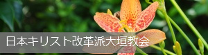 ���{�L���X�g���v�h��_����HP